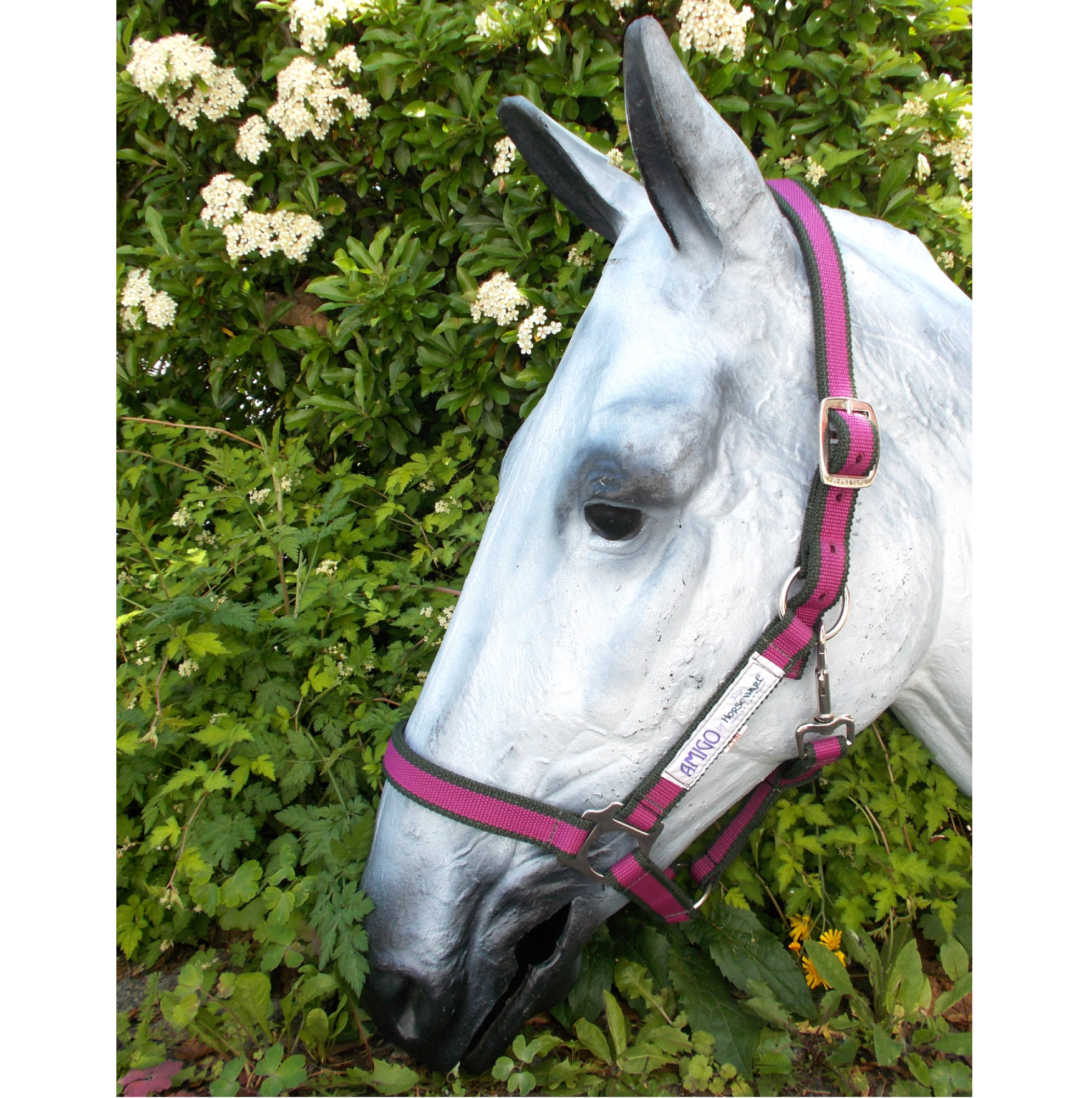 Horseware Amigo Halfter, stabiles Nylon Halfter, magenta / thyme